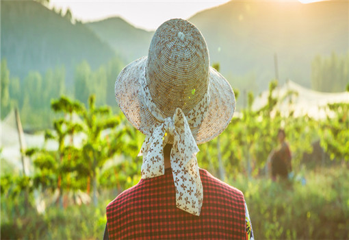 鄉(xiāng)村健康養(yǎng)生產(chǎn)業(yè)的客戶群體有哪些？它有什么開發(fā)要點？