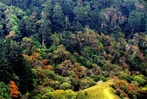 怒江旅行社：好消息！怒江新增4個(gè)國家3A級(jí)旅游景區(qū)