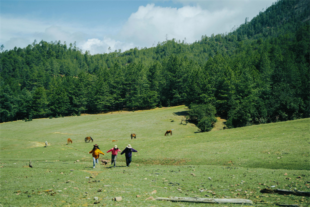 云南旅游,云南旅行社,云南團(tuán)建公司,云南策劃公司,云南會(huì)議會(huì)展,云南旅游地接,怒江旅游,怒江旅行社,怒江團(tuán)建公司,怒江策劃公司：“被羅古箐的山野擁抱、滌凈，再神清氣爽地回去”