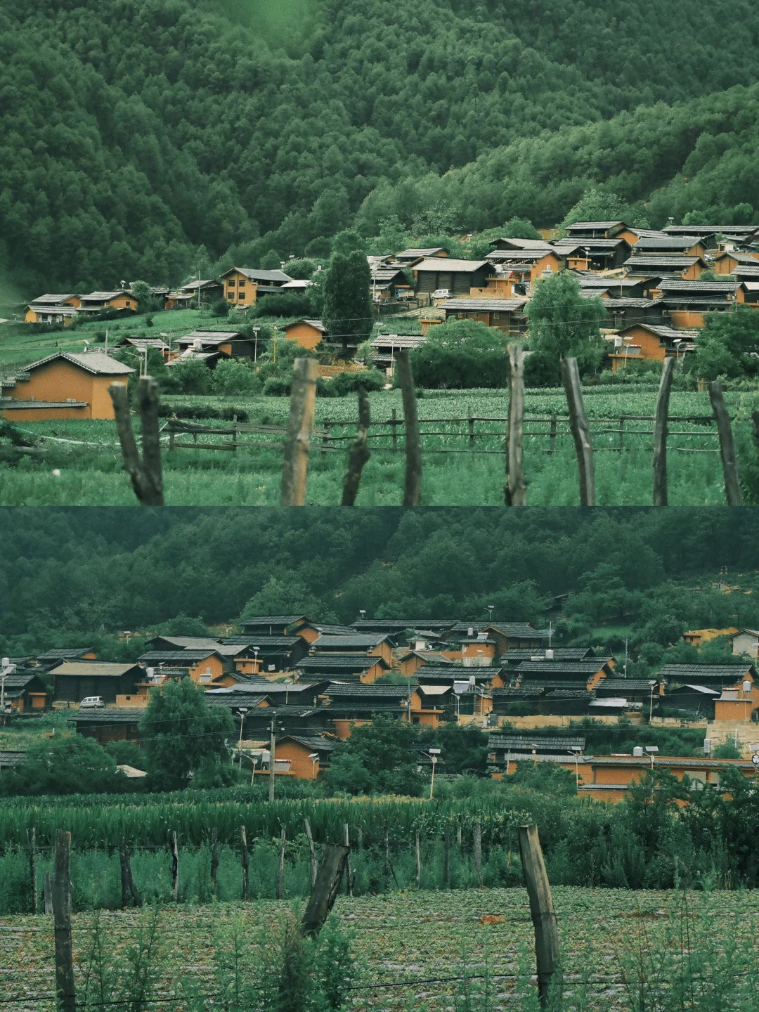 云南旅游,云南旅行社,云南團(tuán)建公司,云南策劃公司,云南會(huì)議會(huì)展,云南旅游地接,怒江旅游,怒江旅行社,怒江團(tuán)建公司,怒江策劃公司：云南超冷門徒步秘境——怒江羅古箐